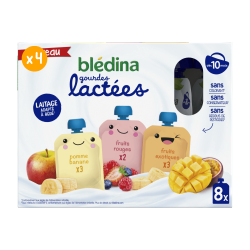 Gourdes Lactées Fruitées -  Lot x4 - Blédina - Dès 10 mois - Face