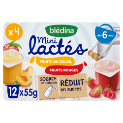 Mini lactés Fruits du soleil et Fruits rouges - Lot x4